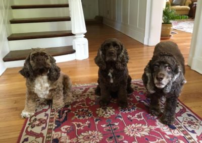 Wrangler, Marco & Francis